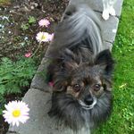Daisy Buckingham - @buckinghamsheila - Instagram