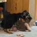 Daisy Buckler - Facebook