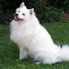 daisymay - @daisybuckner - TikTok