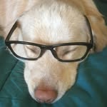 Daisy Jane Burch - @daisy_jane_burch - Instagram