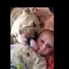 daisy_burke9 - @daisy_burke9 - TikTok