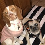 Daisy + Ollie Burns - @daisy_ollieb - Instagram
