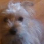 daisy burns - @daisy_burns_2003 - Instagram
