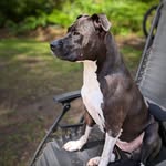 Daisy Burns - @daisy_marie_sourcream_burns - Instagram