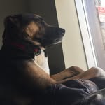 Daisy Burns - @itsdaisysleeping - Instagram