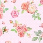 Daisy Burr - @daisyburr - Instagram