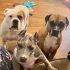 Daisy Calderon - @chicahumilde - TikTok