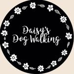 Daisy Cassidy - @daisys.dog.walking - Instagram