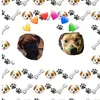 chaisy❤️ - @chaseyanddaisy - TikTok