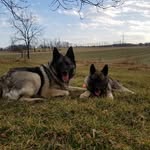 Daisy And Chase - @daisy_chase17 - Instagram