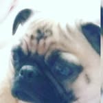 Daisy/chase - @daisy__chase - Instagram