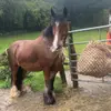 mollydaisychase - @mollychase23 - TikTok