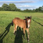 Daisy Clark - @daisy.cl_3ark - Instagram