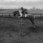 Daisy Clark - @daisy.clark_equine - Instagram