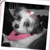 Daisy May Cooley - Facebook