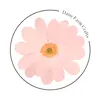 Daisy Farm Crafts - @daisyfarmcrafts - TikTok