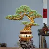 DaisyHandmadeCrafts - @daisyhandmadecrafts - TikTok
