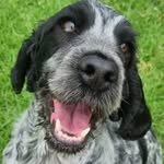 Daisy - @daisy_crookie - Instagram