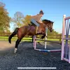Daisy Curtiss 🐴🥺 - @daisycurtiss54 - TikTok