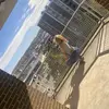 daisy delgado - @daisy.delgado80 - TikTok