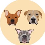 Daisy, Delgado, Deja & Daiquiri 🐾 - @yukonpitties - Instagram