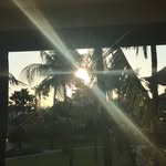 @daisy.dennis777 - Instagram