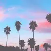 Daisy Dennis - @daisydennis - TikTok
