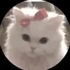 Daisy Dodd86 - @daisy.dodd86 - TikTok