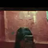 Daisylevi - @daisydonato360 - TikTok