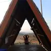 Daisy Dong - @daisy.dong2 - TikTok