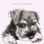 Dusty & Daisy Donovan ⭐❤ - @nozes_n_dozes - Instagram