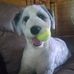 Daisy Doolittle - Facebook