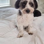 Daisy Doolittle - @macdoob0121 - Instagram