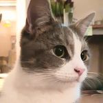 Daisy "Doozle" Doolittle - @daisy_doolittle_ - Instagram