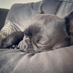 Daisy Walton - @daisy.doolittle2021 - Instagram