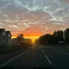 daisydoolittle - @daisydoolittle25 - TikTok