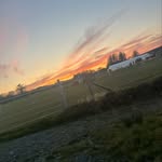 𝒟𝒶𝒾𝓈𝓎 𝒹ℴ𝓇𝒶𝓃ꨄ - @doran_daisy - Instagram