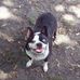 Daisy Dougherty - Facebook
