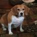 Daisy Dougherty - Facebook