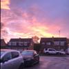 𝒹𝒶𝒾𝓈𝓎 💘 - @daisydow.x - TikTok
