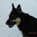 Daisy Dowdy - Facebook