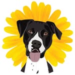 Daisy Dowling 🐾 - @growing.up.daisy - Instagram