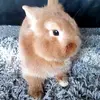 daisydowling211 - @daisydowling211 - TikTok