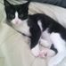 Daisy Downey - Facebook