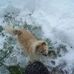 Daisy Downey - Facebook