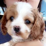 Daisy rae downing - @daisyraedowning - Instagram