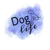 Charlie.daisy.and.drake.dogs - @charlie.daisy.drake.dogs - TikTok