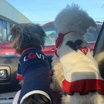 Daisy & Dharma Drake - @daisymaedrake - Instagram