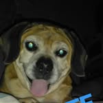 daisydrake - @daisydrake9826 - Instagram