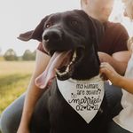 Drake + Daisy Dickman - @drake.and.daisy.dickman - Instagram